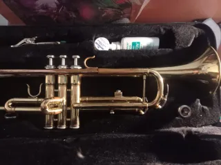 Trompeta dorada con accesorios