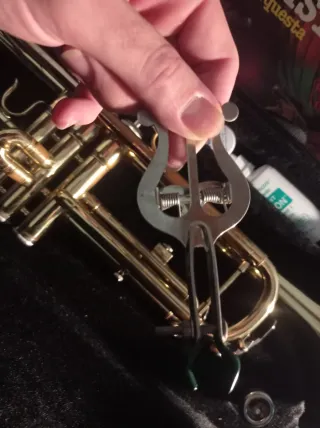 Trompeta dorada con accesorios