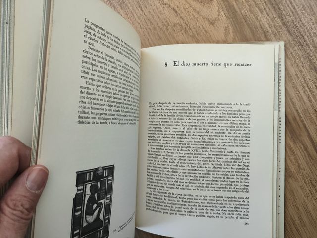 TUTANKHAMEN, VIDA MUERTE DE UN FARAÓN ED. NOGUER