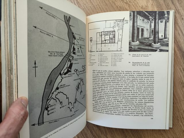 TUTANKHAMEN, VIDA MUERTE DE UN FARAÓN ED. NOGUER