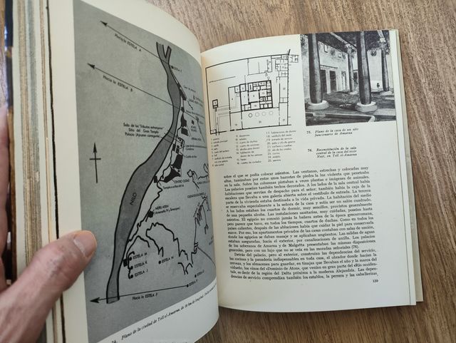 TUTANKHAMEN, VIDA MUERTE DE UN FARAÓN ED. NOGUER