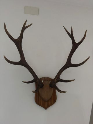 Asta de cuerno sintético decorativo