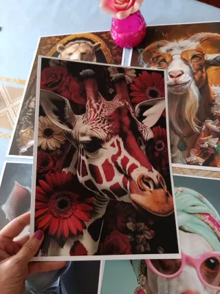 4 Láminas Animales Ropa