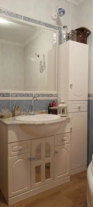 Muebles de baño: lavabo, armario y bidé