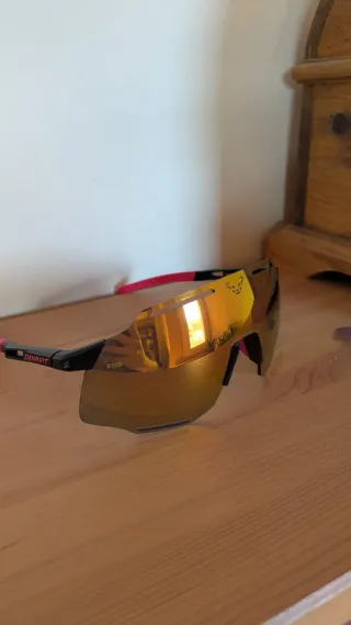 Gafas de sol DYNAFIT Alpine evo