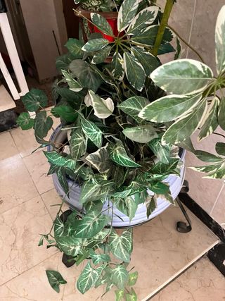 Macetero Cerámica Decorada con Soporte