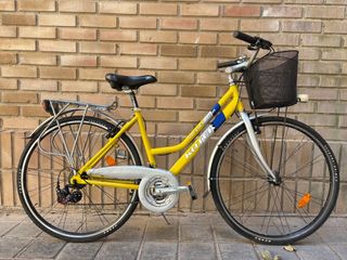 Bicicleta Paseo Aluminio