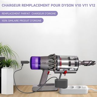 Caricabatterie Shefor 30,45 V compatibile con Dyson V10 V