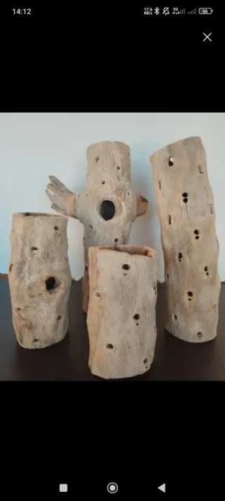 Raíz/tronco/madera Cholla Decoración acuario/hogar