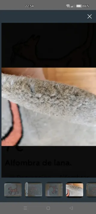 Alfombra de lana  pequeña.