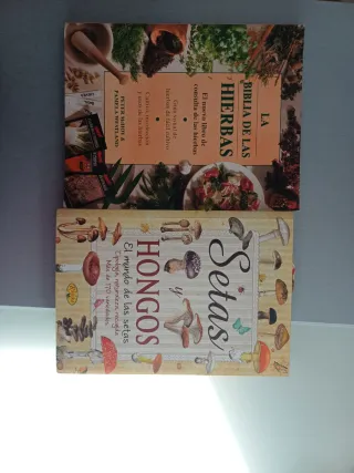 Setas y hongos (Sabor y tradición) (Spanish Edi...