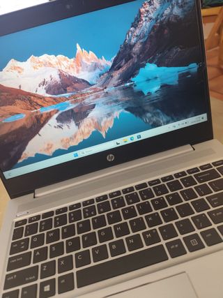 Portátil HP Probook 445 G7 | 8GB RAM | Ryzen 3