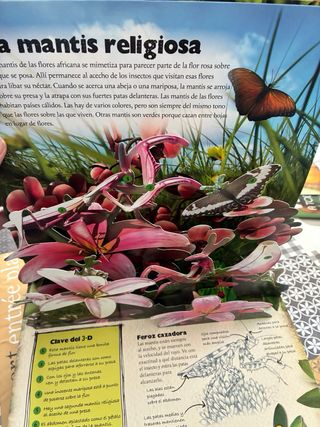 Cómo se ocultan los animales (De Cerca) (Spanis...