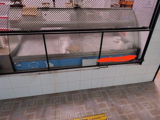 Vitrinas expositoras 2m x 1.10m