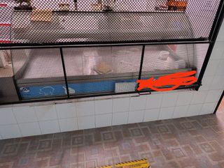 Vitrinas expositoras 2m x 1.10m