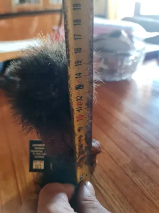 Troll Norvegese Originale