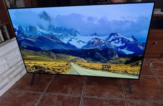 LG OLED 48B46
