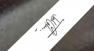 Banda Capot MINI Blanco y Negro JCW