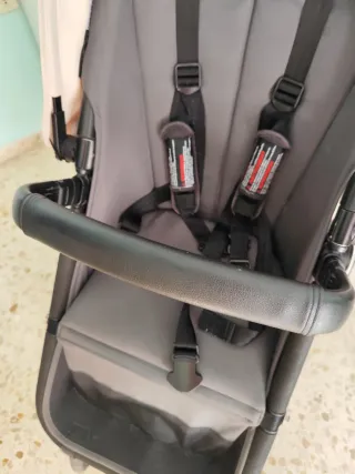 Carro Bugaboo Camaleón Silla Paseo