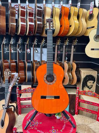 Guitarra Flamenca Algeciras P. Rio