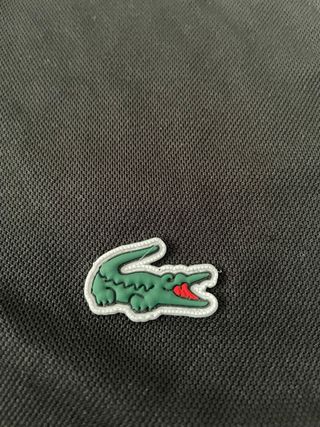 Polo Lacoste Negro con Rayas Azules
