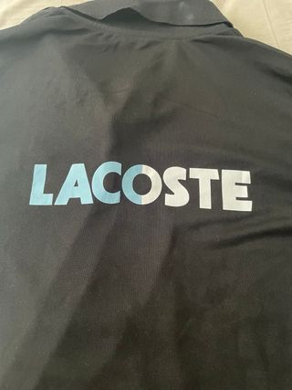 Polo Lacoste Negro con Rayas Azules