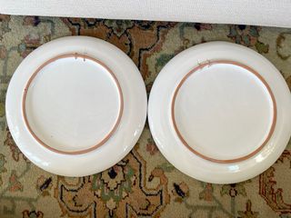 Coppia Piatti Maiolica Decorati