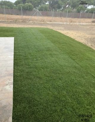 Césped artificial reciclado