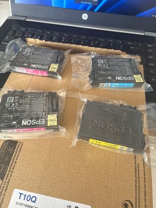Cartuchos de tinta Epson T10Q