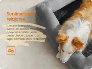 Cama Ortopédica para Perros Feandrea PGW076G02