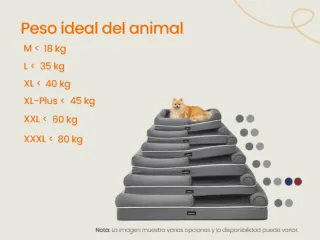 Cama Ortopédica para Perros Feandrea PGW076G02