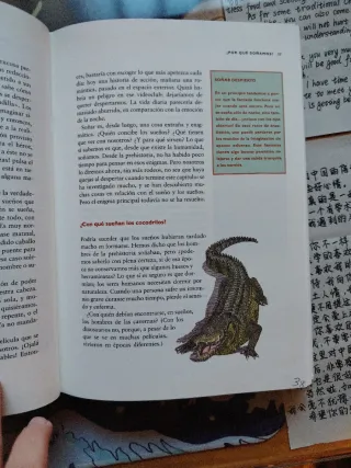 Una universidad para niños 2