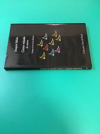 Ciento volando de catorce - Joaquín Sabina