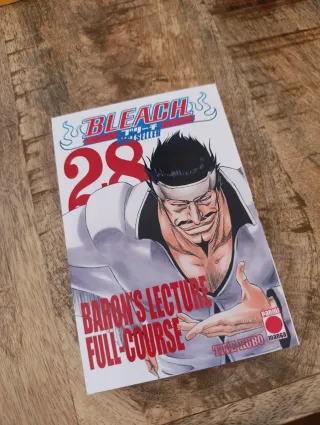 Bleach Tomo 28