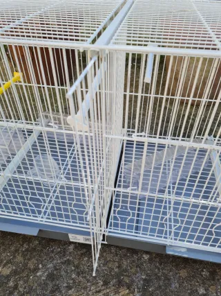 Jaula voladera doble