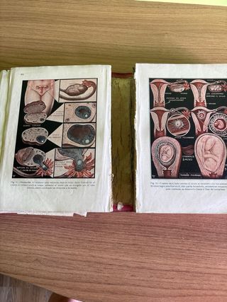 Libro, medicina, natural antiguo