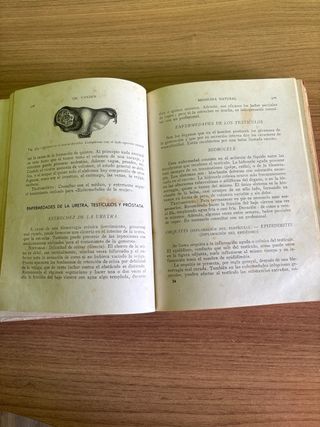Libro, medicina, natural antiguo