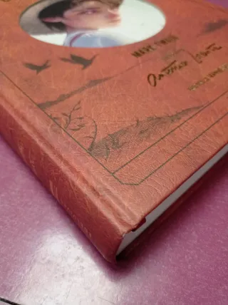 Las aventuras de Tom Sawyer