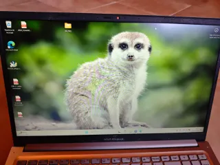 Portátil Asus 1235u 16GB 512GB