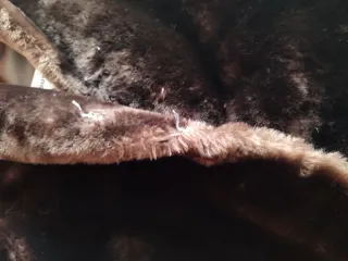 Chaquetón piel mutón marrón mujer