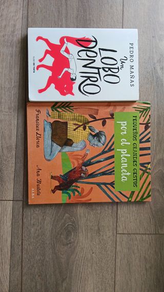 LIBROS DE ADOLESCENTES ¡¡¡¡10€ LOS DOS LIBROS!!