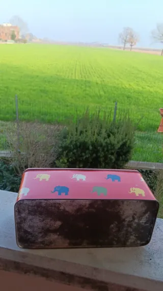 Scatola di latta vintage con elefanti