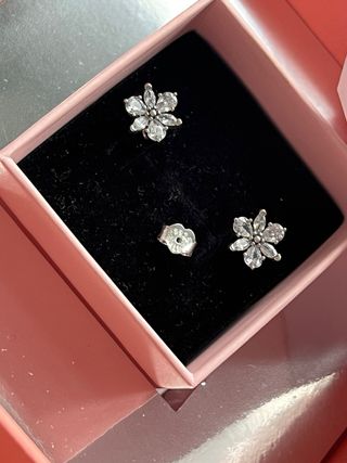 Conjunto Pandora Flor Plateada