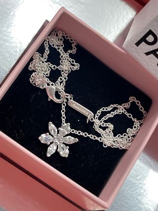 Conjunto Pandora Flor Plateada