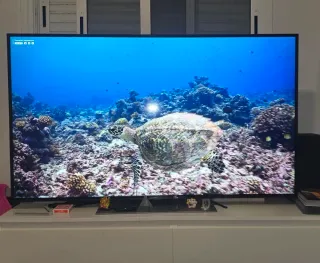 TV LG 56 1 año de uso, en garantía