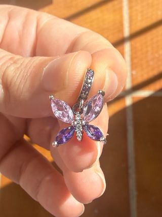 Charm Mariposa Plata Ley