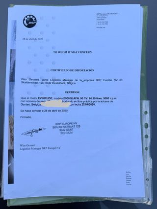 Evinrude 90 H.O. Motor Fueraborda