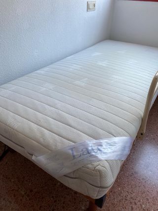 Cama eléctrica con mando y colchón