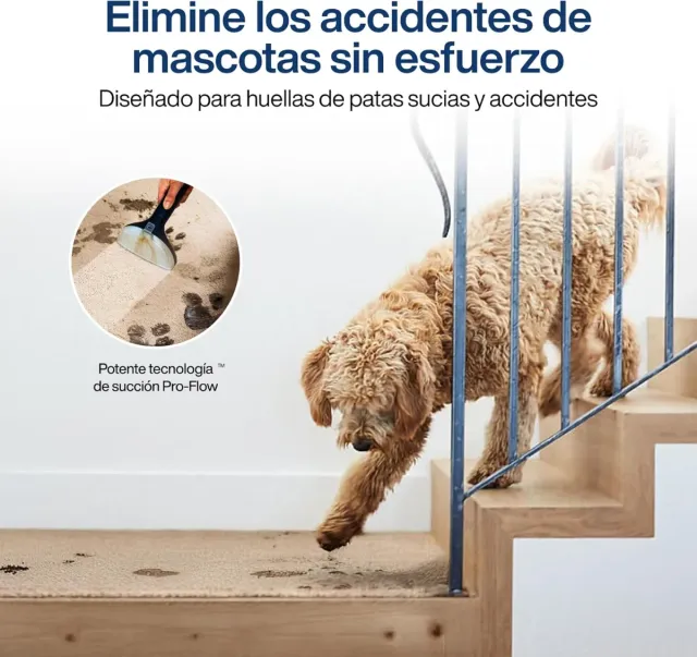 Samako PowerClean Pro 2000W Limpiador Alfombras