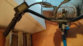 Triciclo Eléctrico Adulto